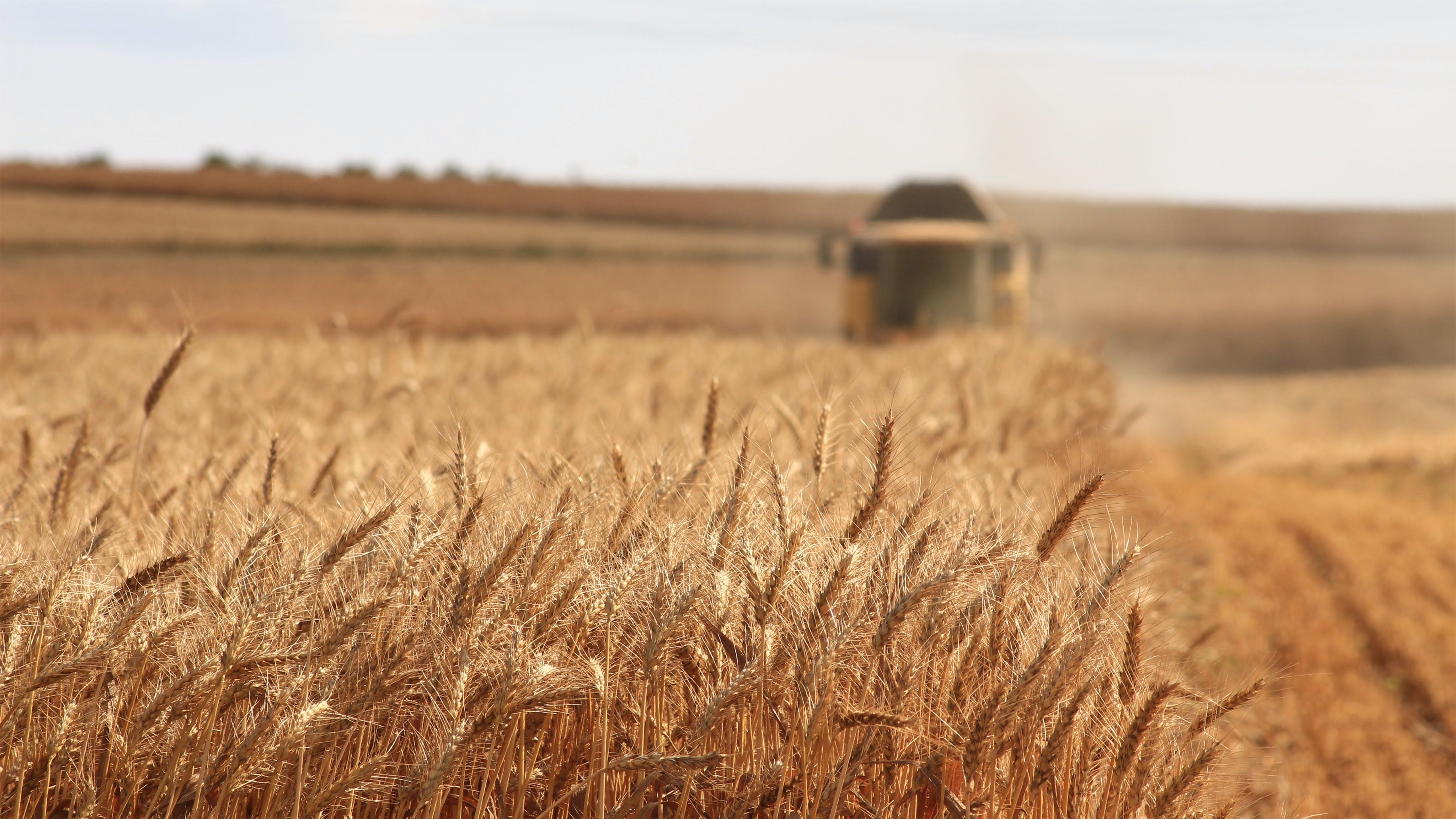 How do we help grain originators?